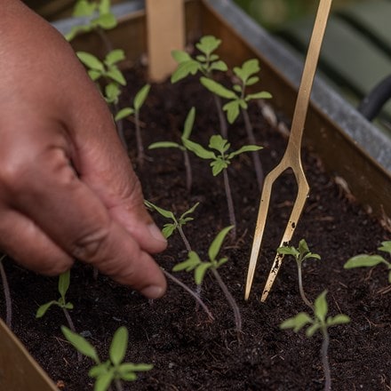 Seedling pricker - brass