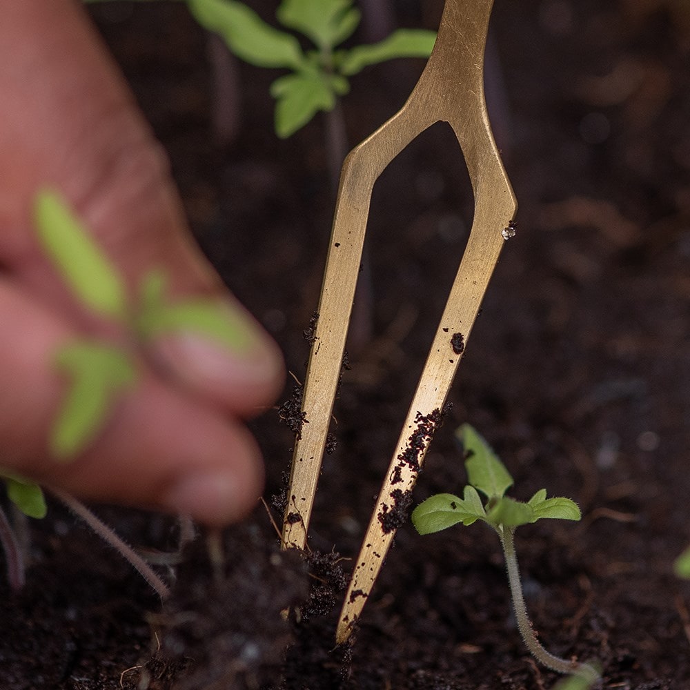 Seedling pricker - brass