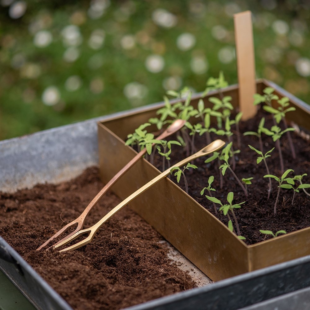 Seedling pricker - brass