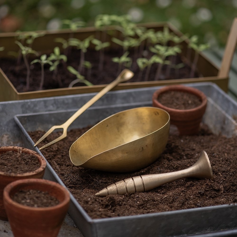 Seedling pricker - brass