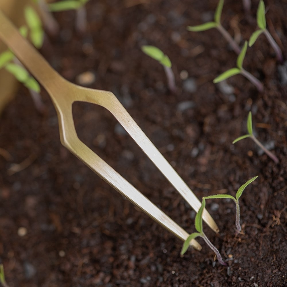 Seedling pricker - brass