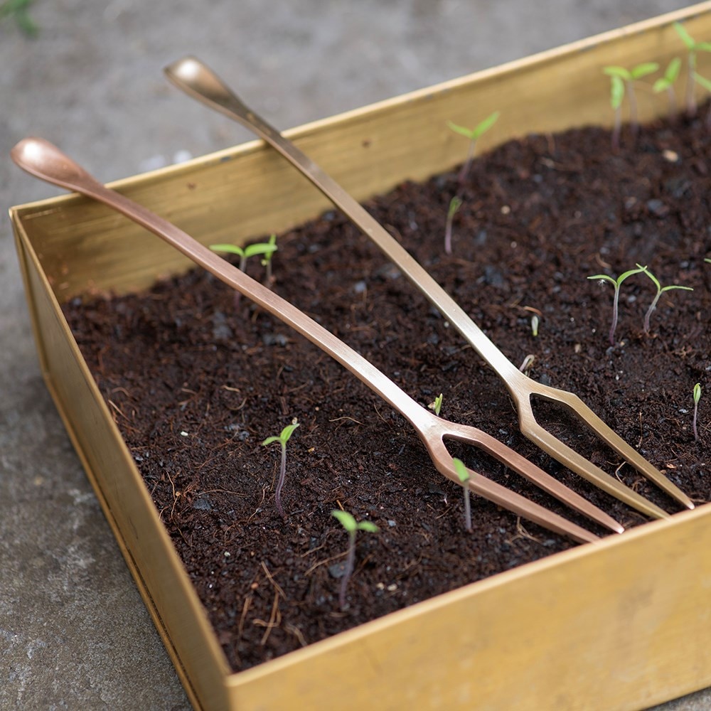 Seedling pricker - brass