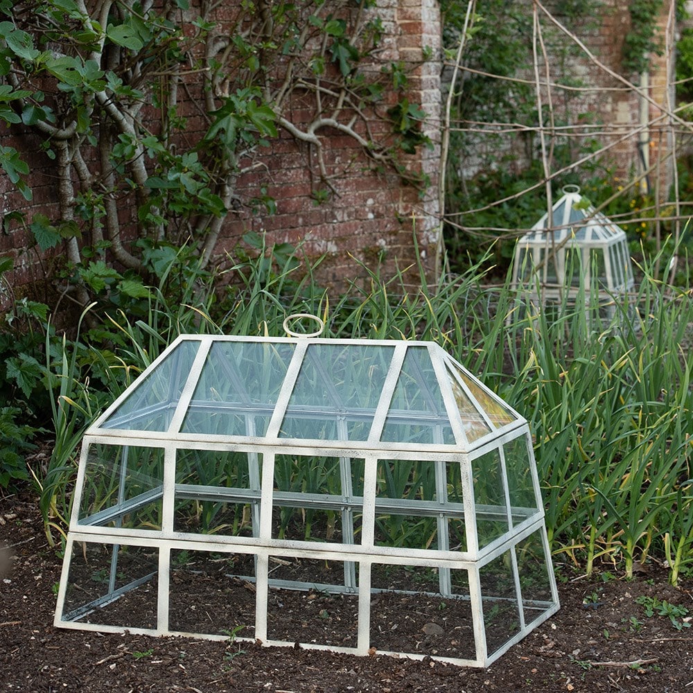 Product options image