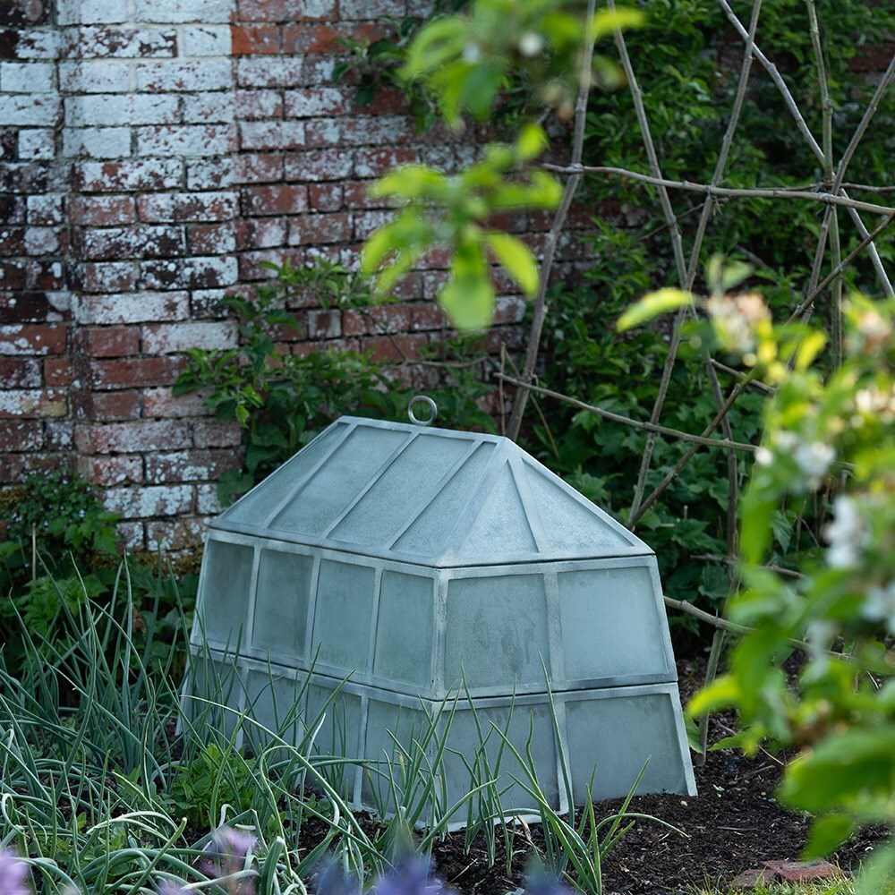 Victorian rectangular cloche - double height 