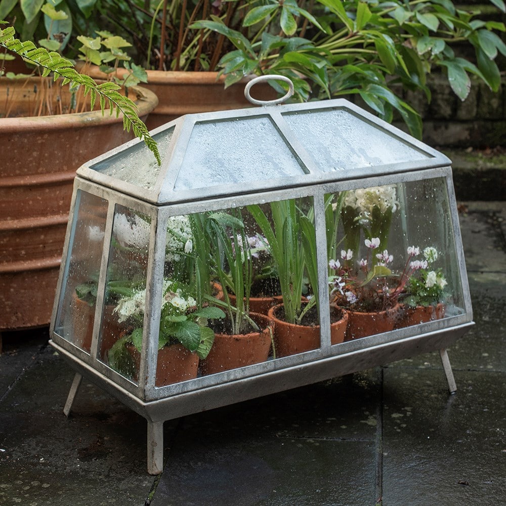 Mini Victorian growhouse