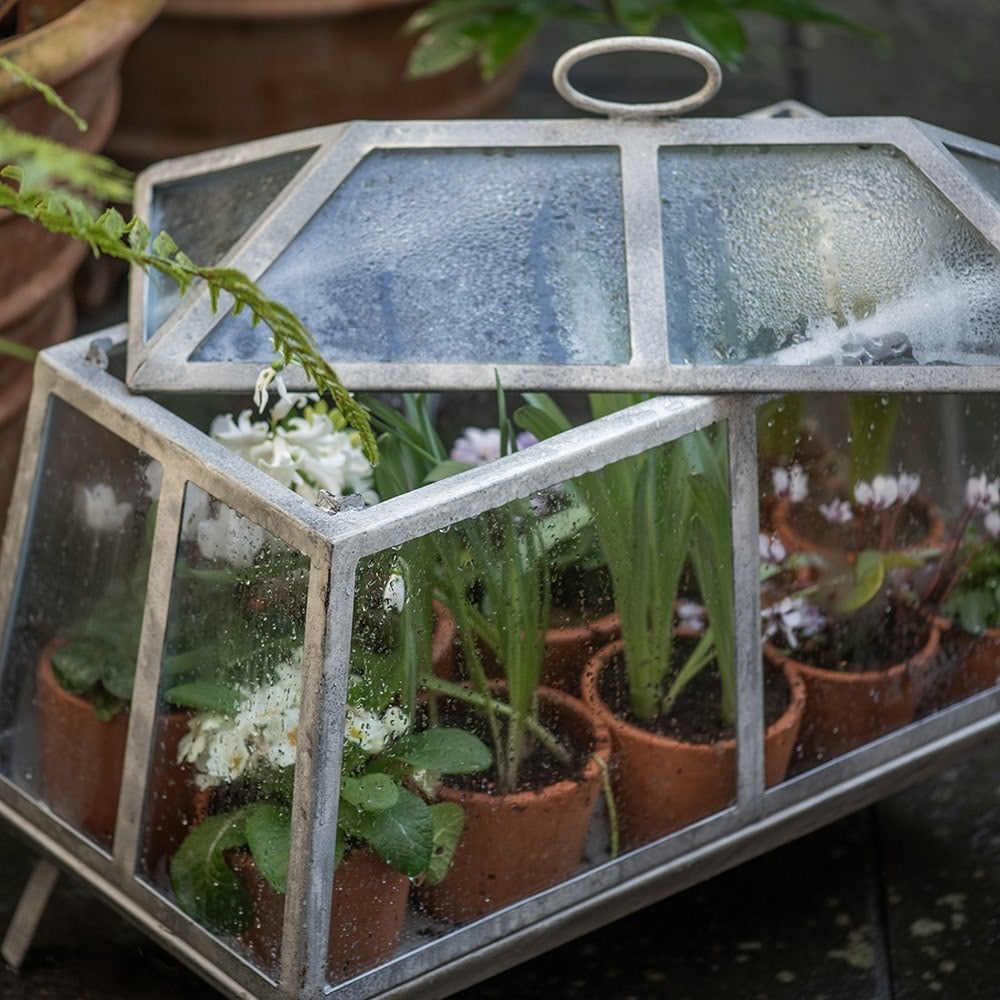 Mini growhouse