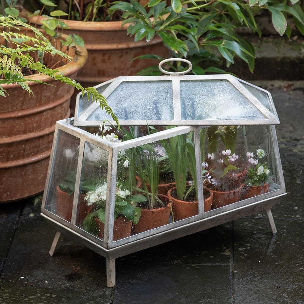 Mini growhouse