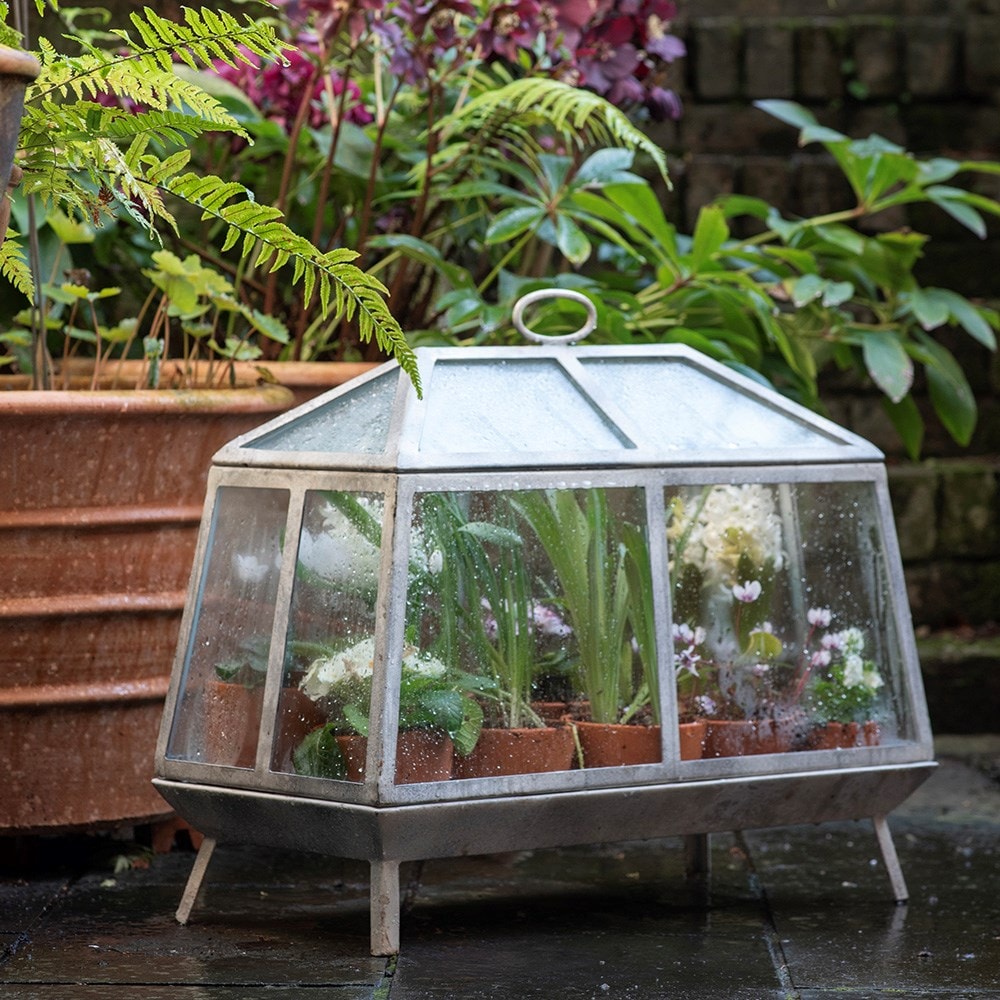Mini growhouse