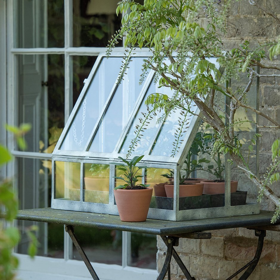 Table top growhouse
