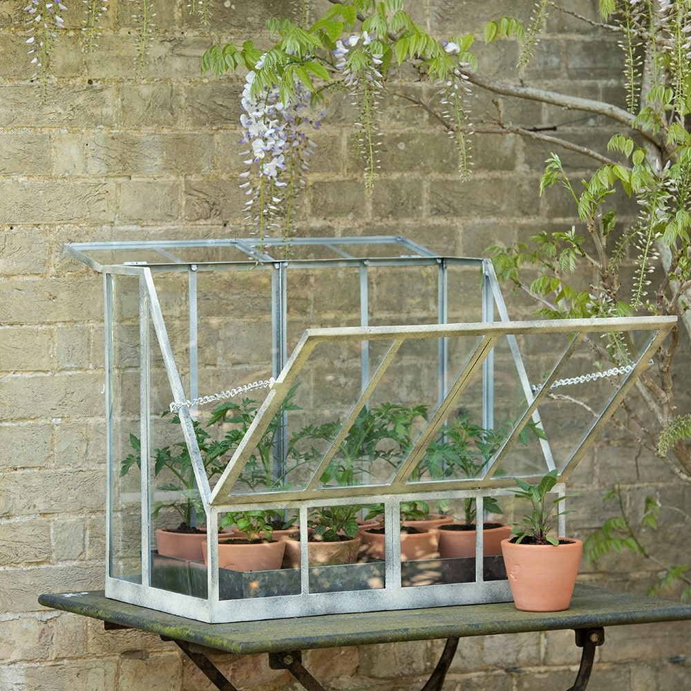 Table top growhouse