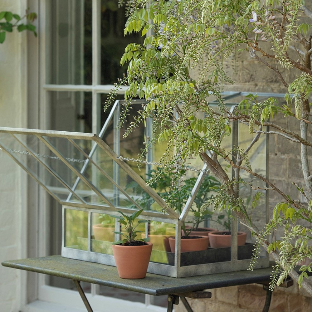 Table top growhouse