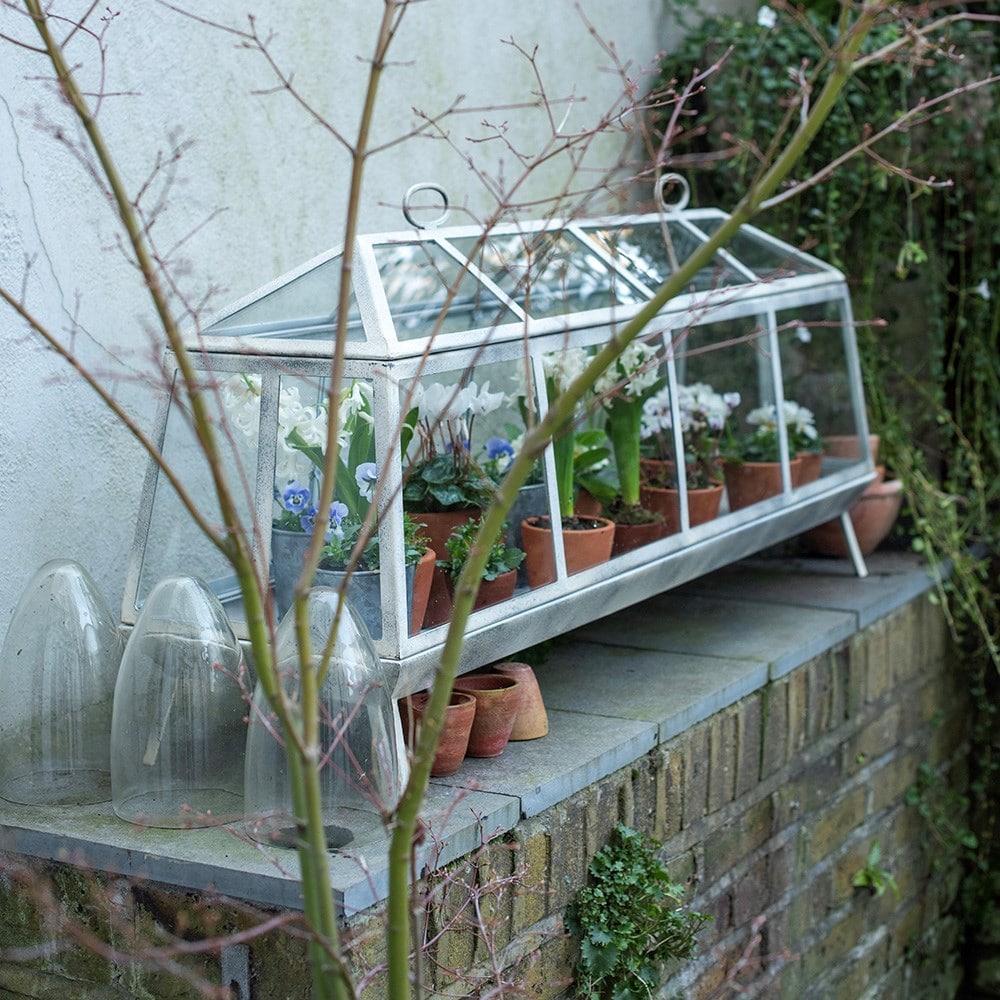 Long barn Victorian growhouse