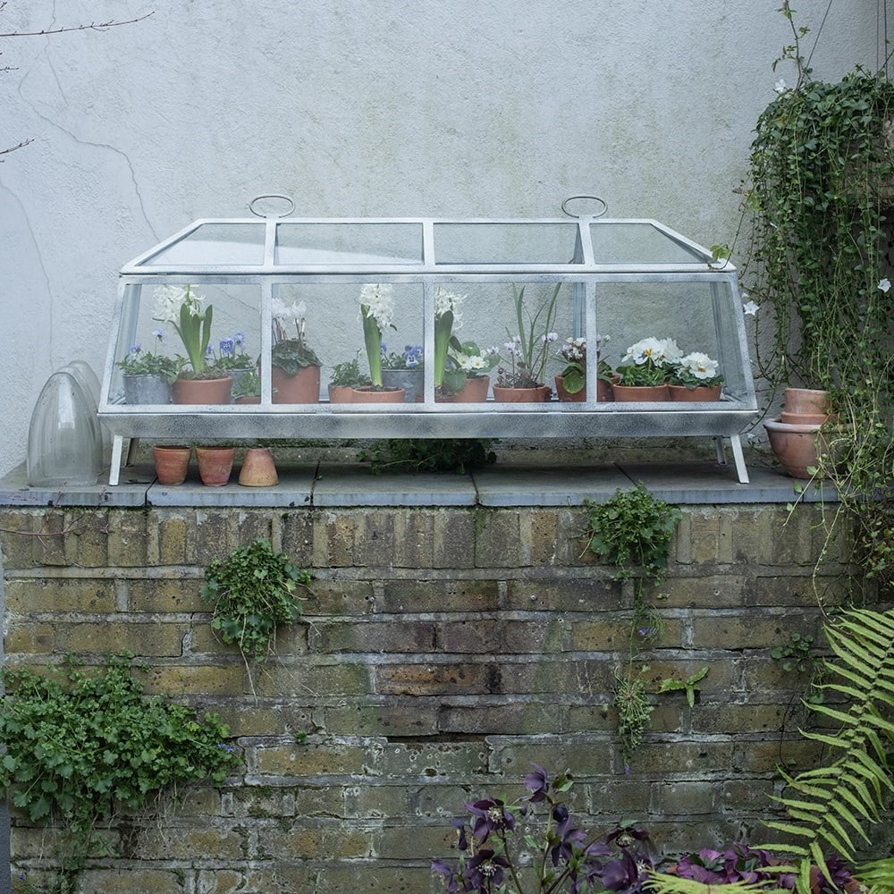 Long barn Victorian growhouse