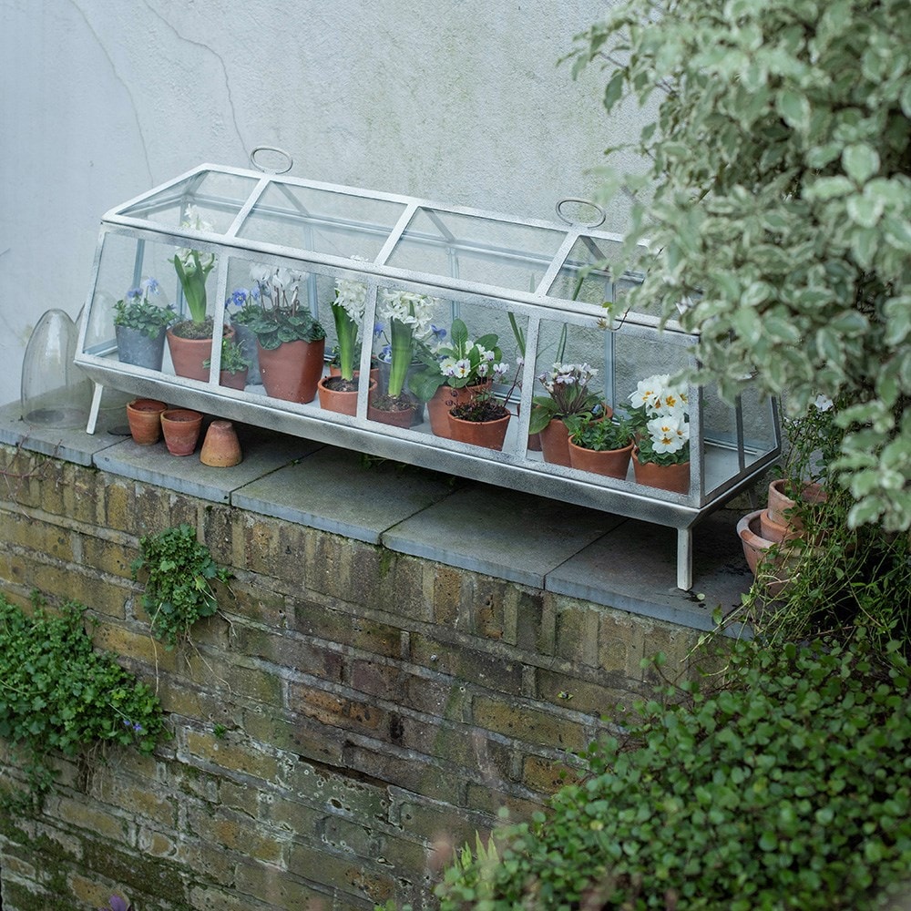 Long barn Victorian growhouse