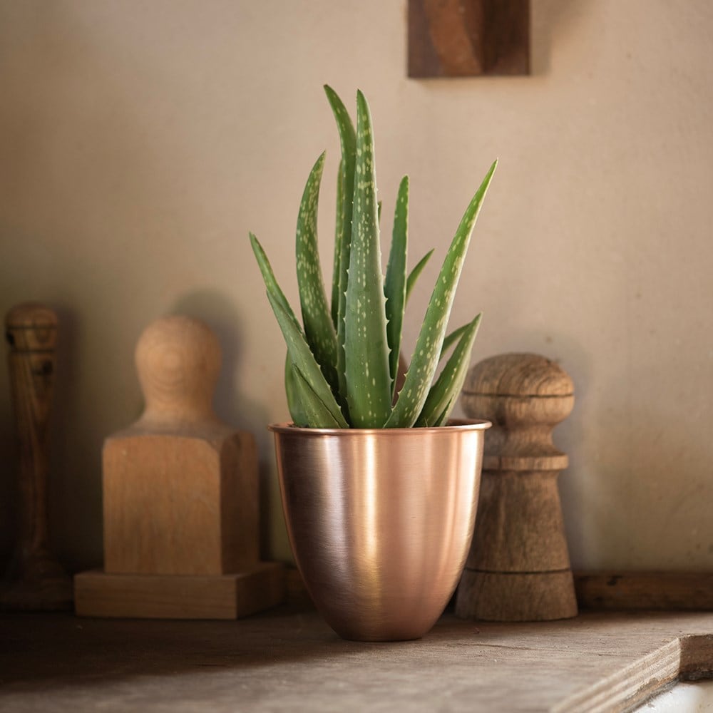 Brushed copper pot
