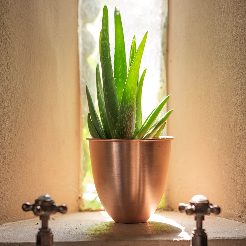 Brushed copper pot