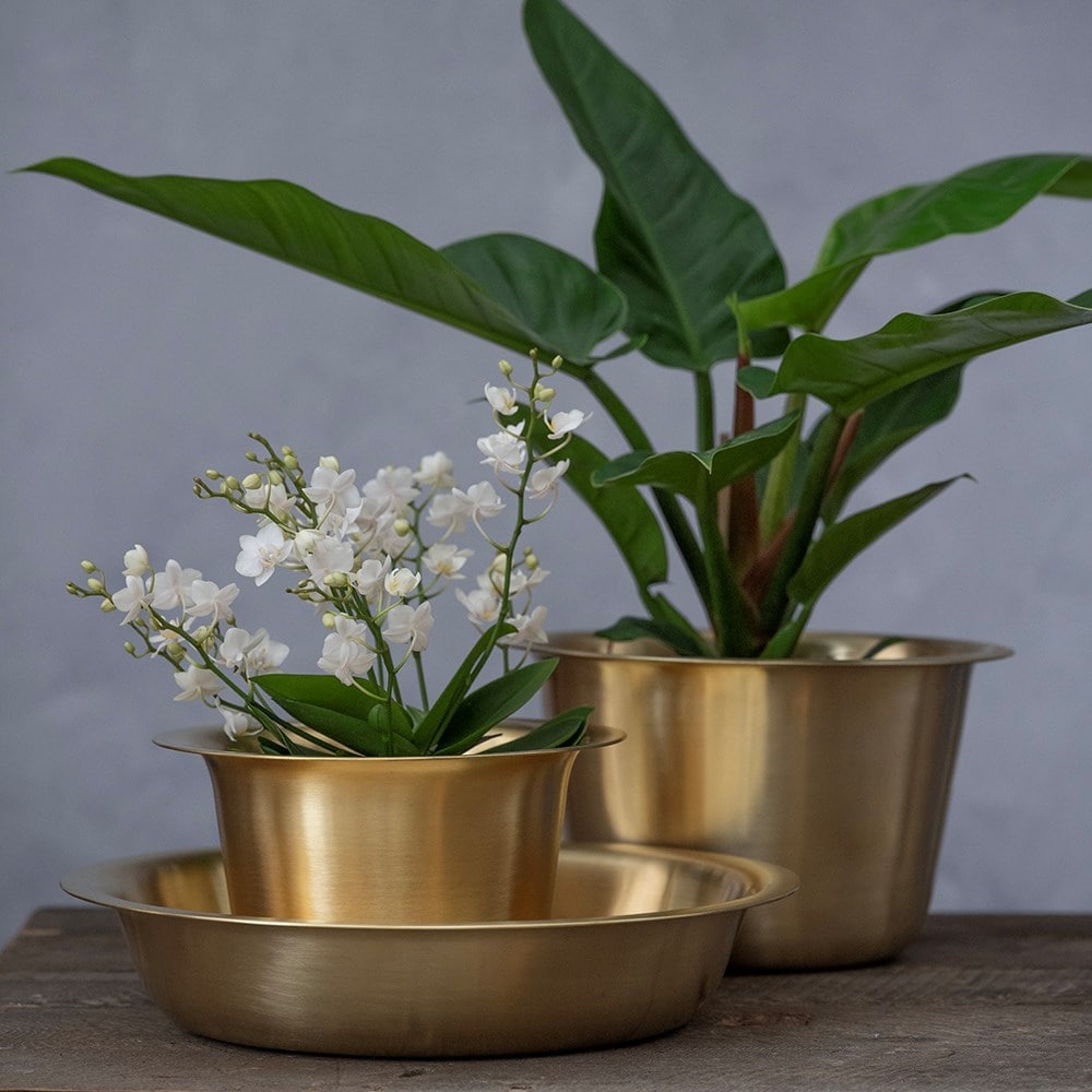 Product options image