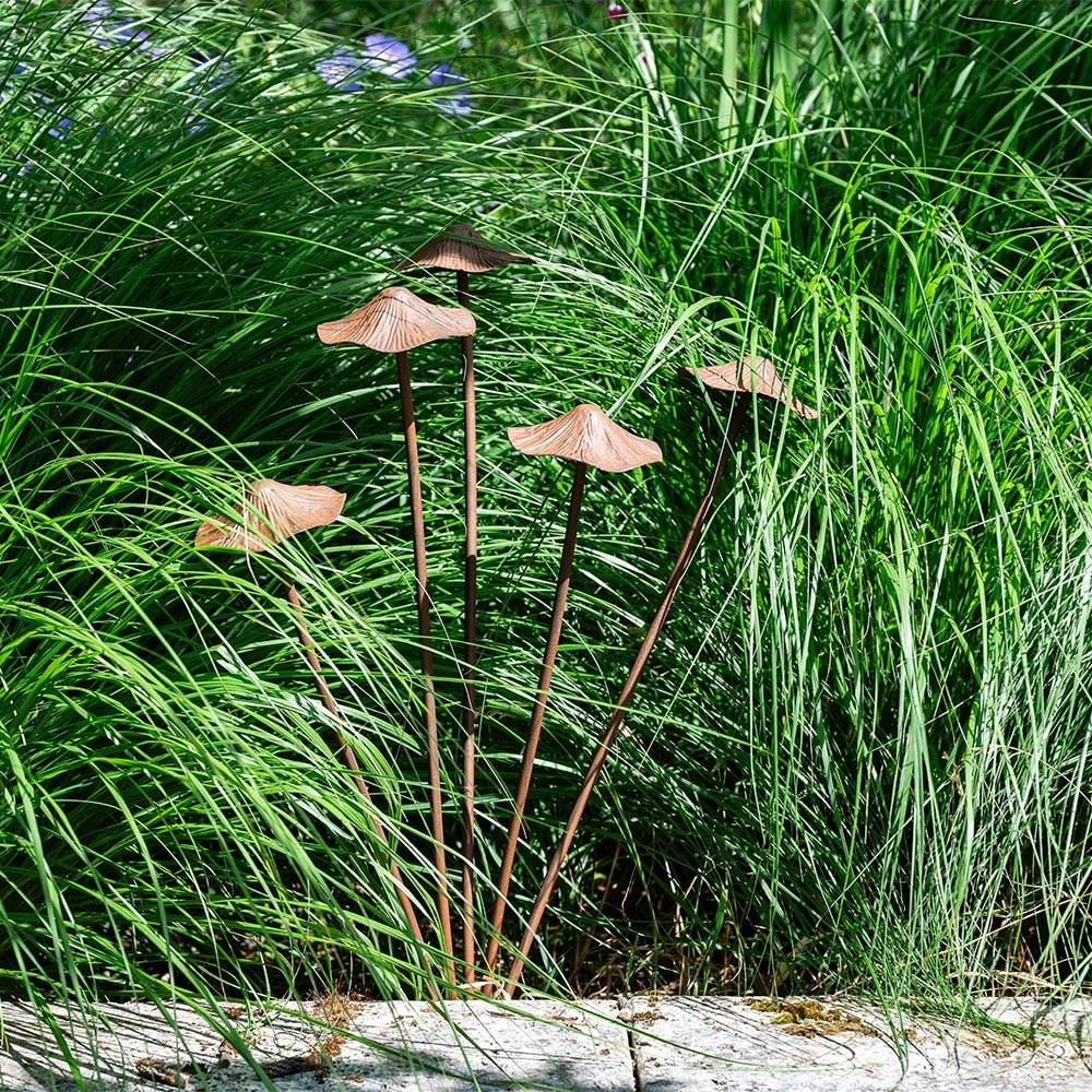 Product options image