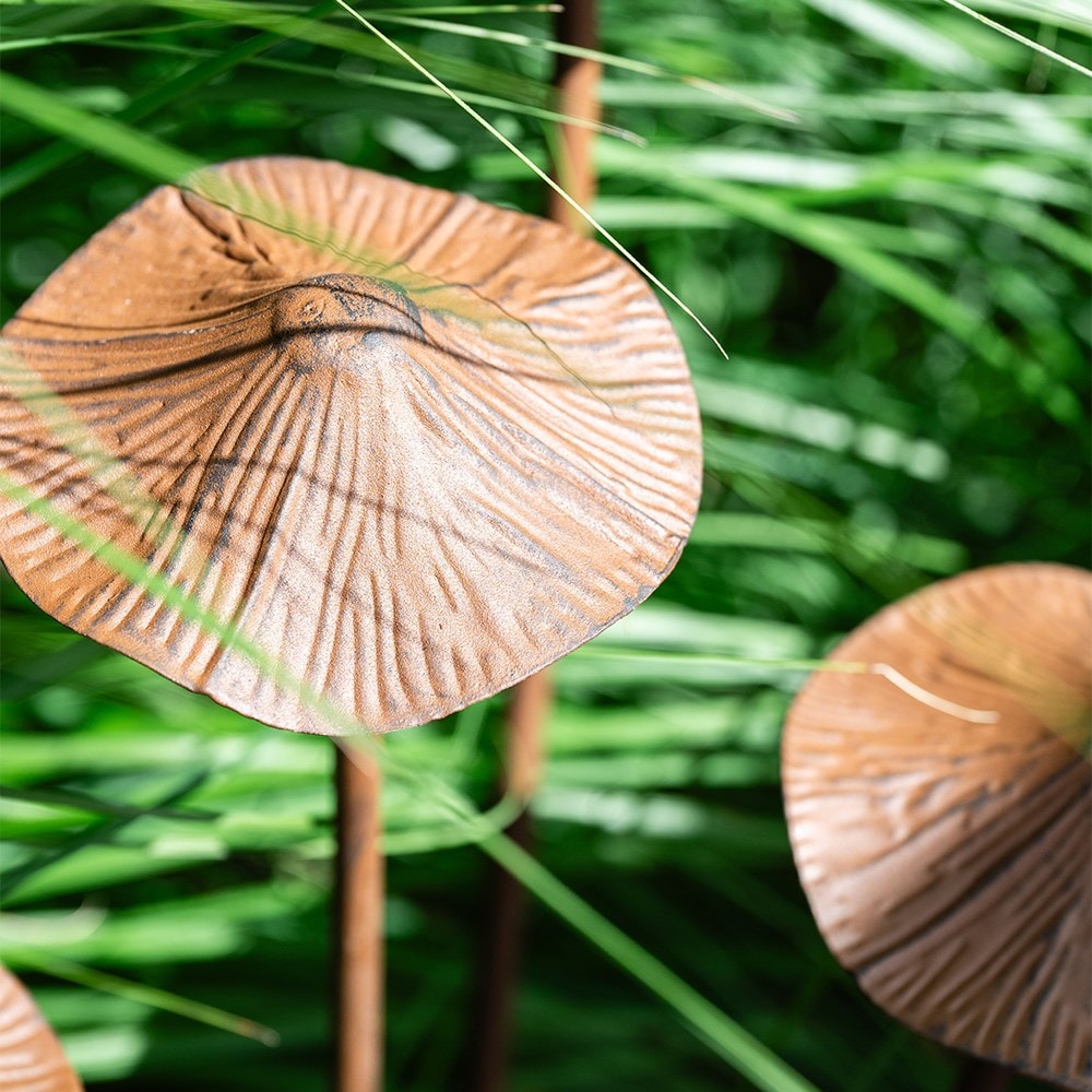 Mushroom stake