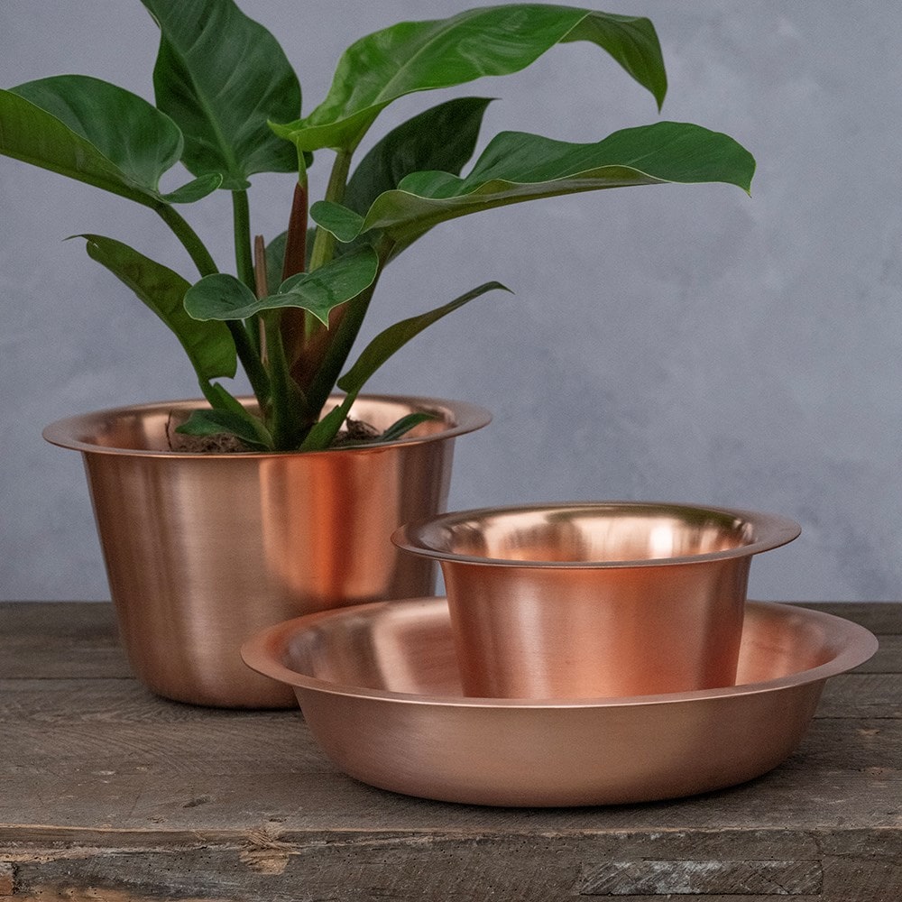 Product options image