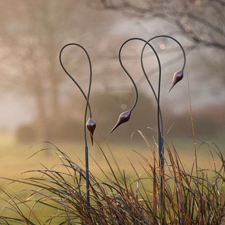 Allium stake