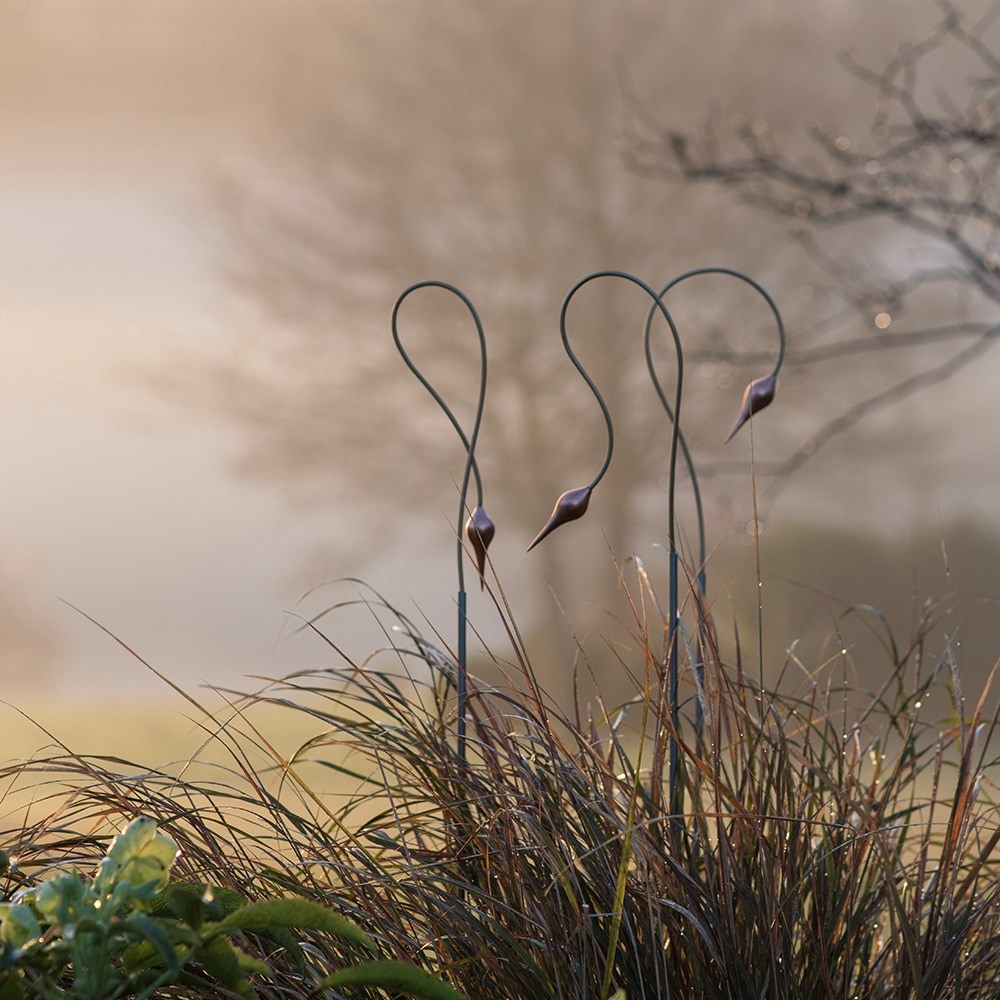 Allium stake