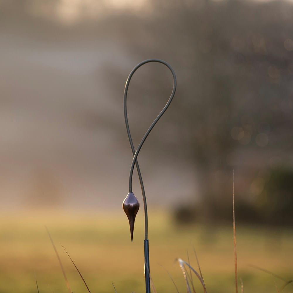 Allium stake