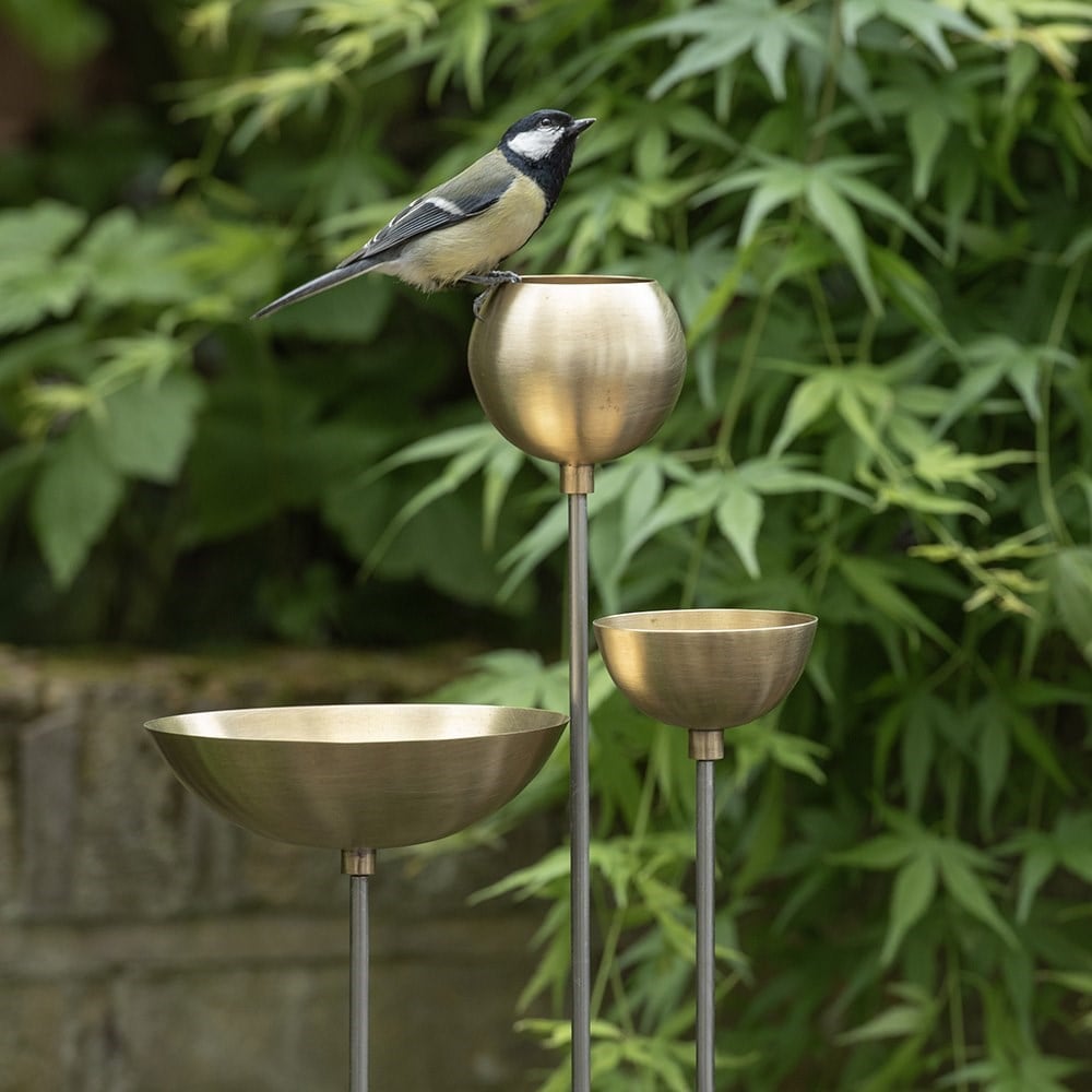 Product options image