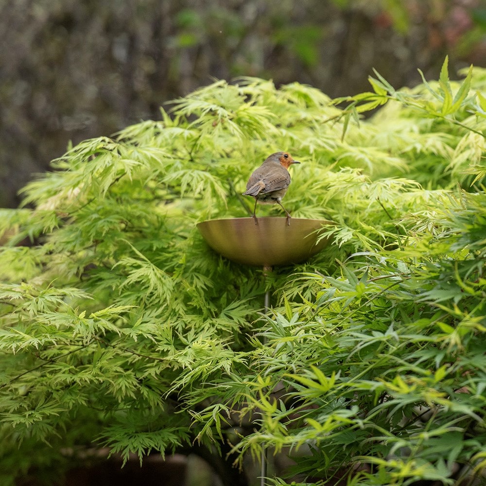 Brass bowl on stainless steel stake