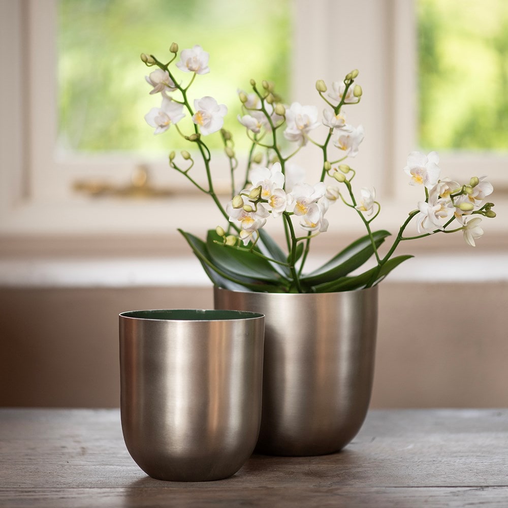 Brushed silver pot with enamel interior