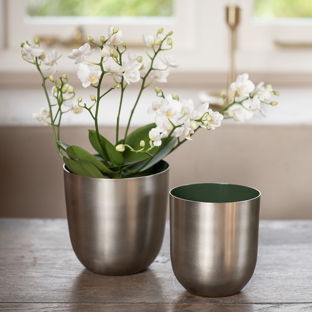 Brushed silver pot with enamel interior