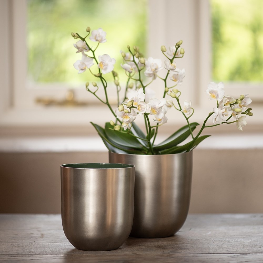 Brushed silver pot with enamel interior