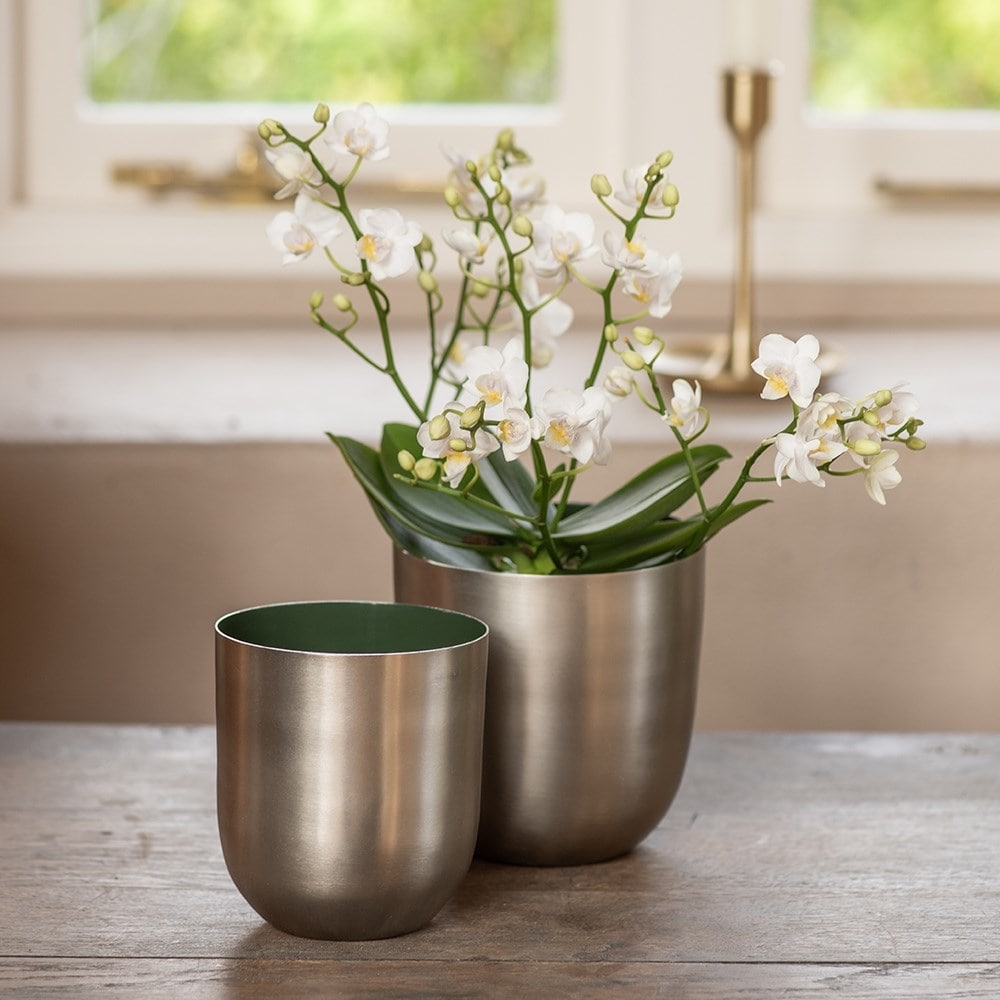 Brushed silver pot with enamel interior