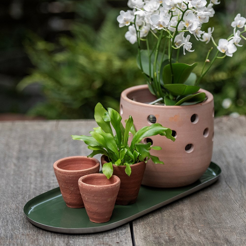 Product options image