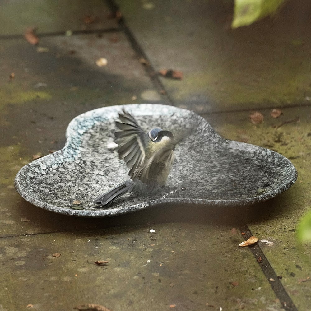Clover bird bath - speckled grey