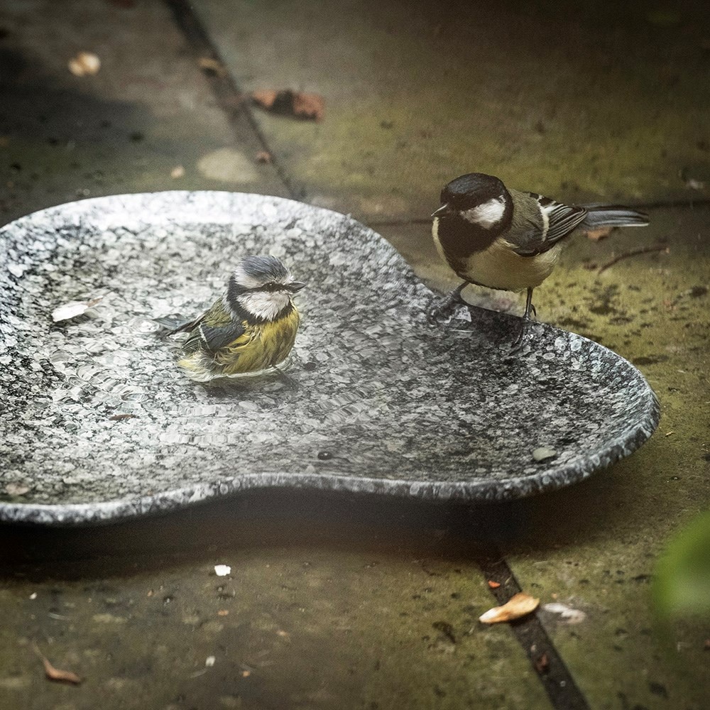 Clover bird bath - speckled grey