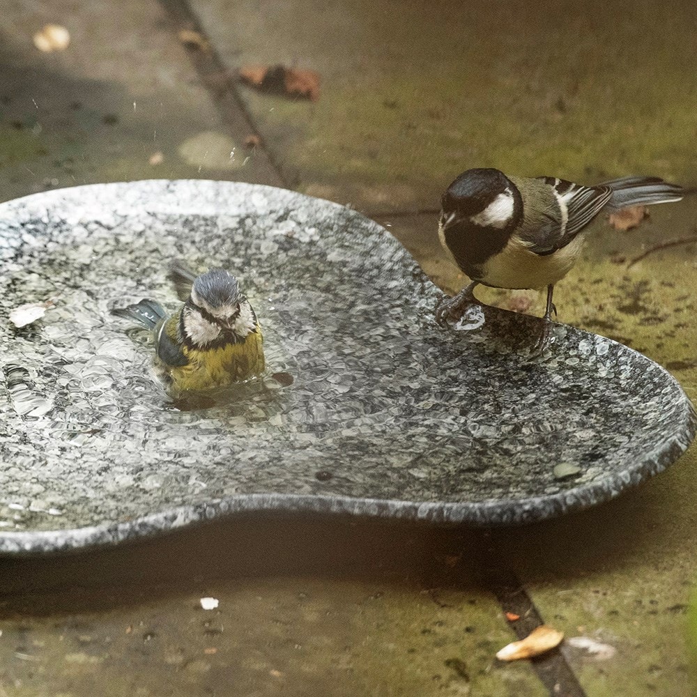 Clover bird bath - speckled grey