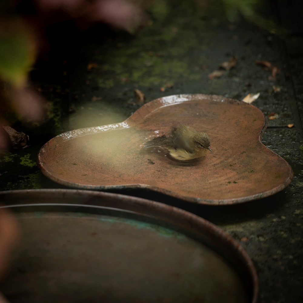 Clover bird bath - rusty brown