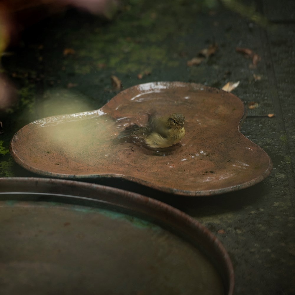 Clover bird bath - rusty brown