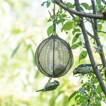 Squirrel proof whatnot feeder