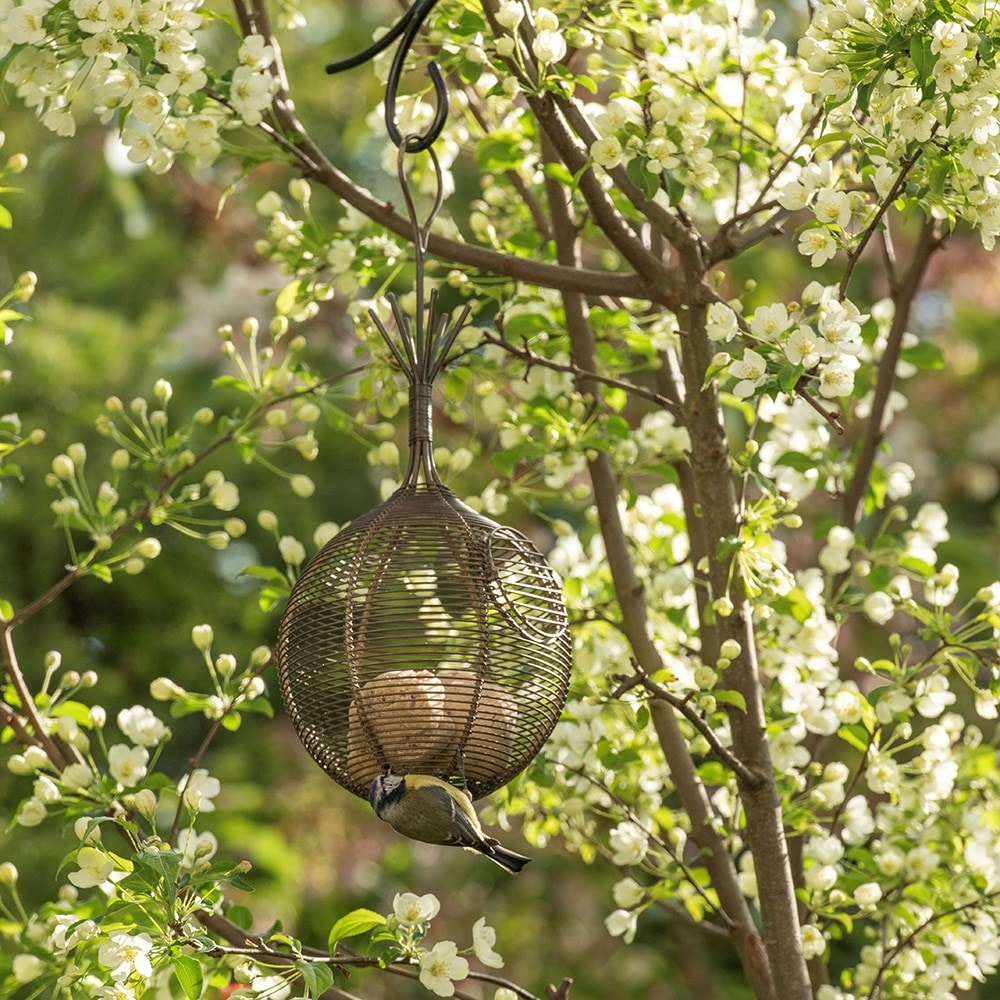 Squirrel proof whatnot feeder