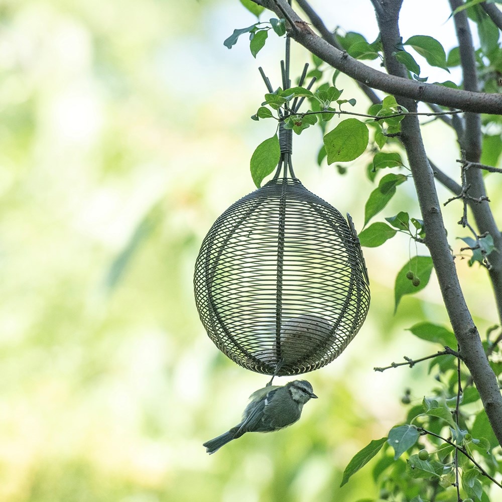 Squirrel proof whatnot feeder