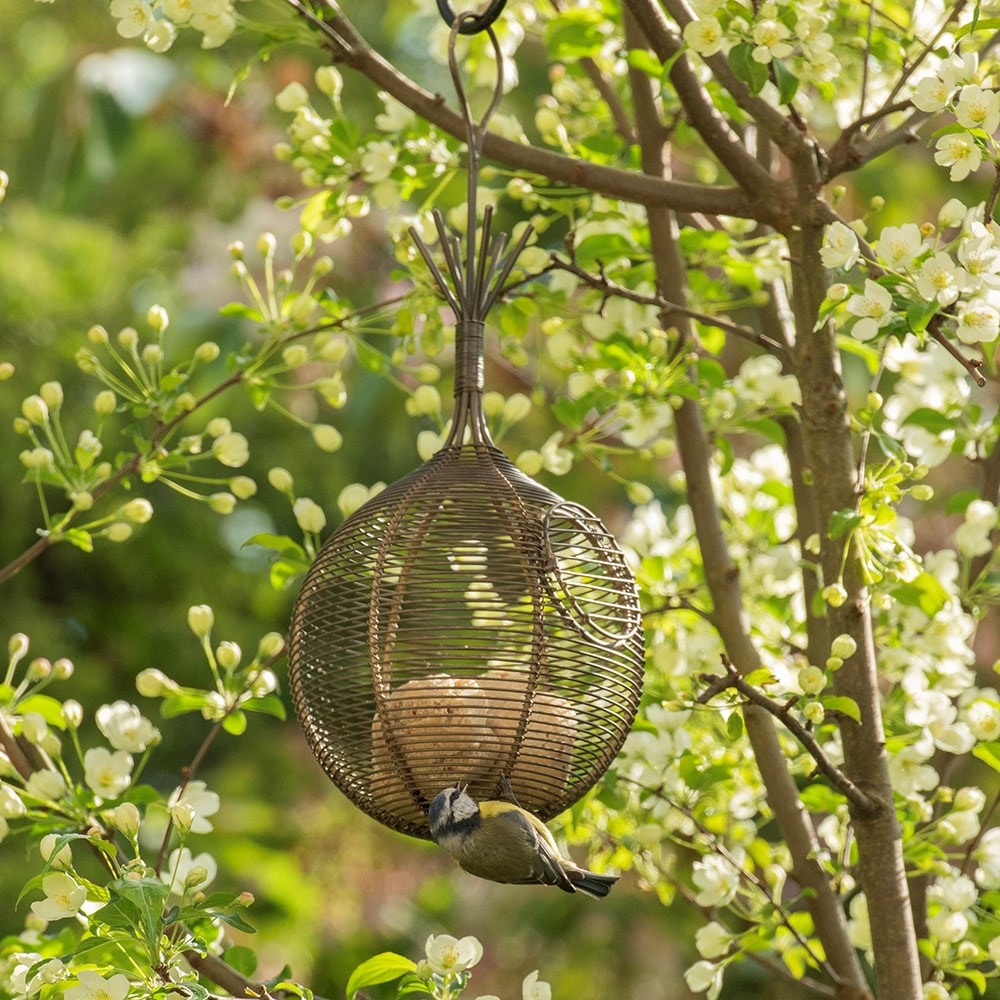 Squirrel proof whatnot feeder