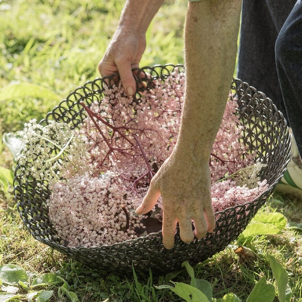 Elderflower rinsing bowl