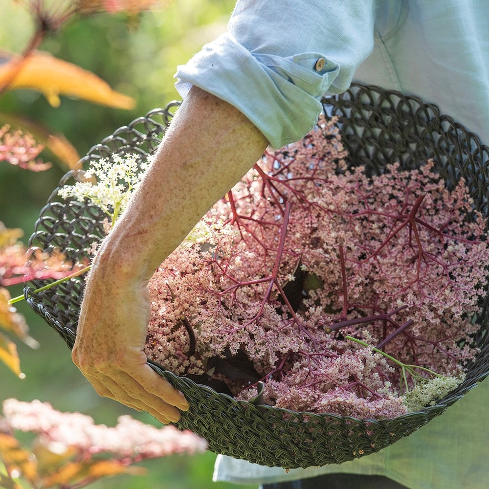 Elderflower rinsing bowl