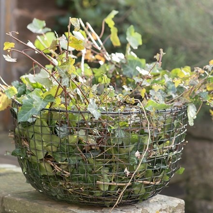 Multi purpose basket
