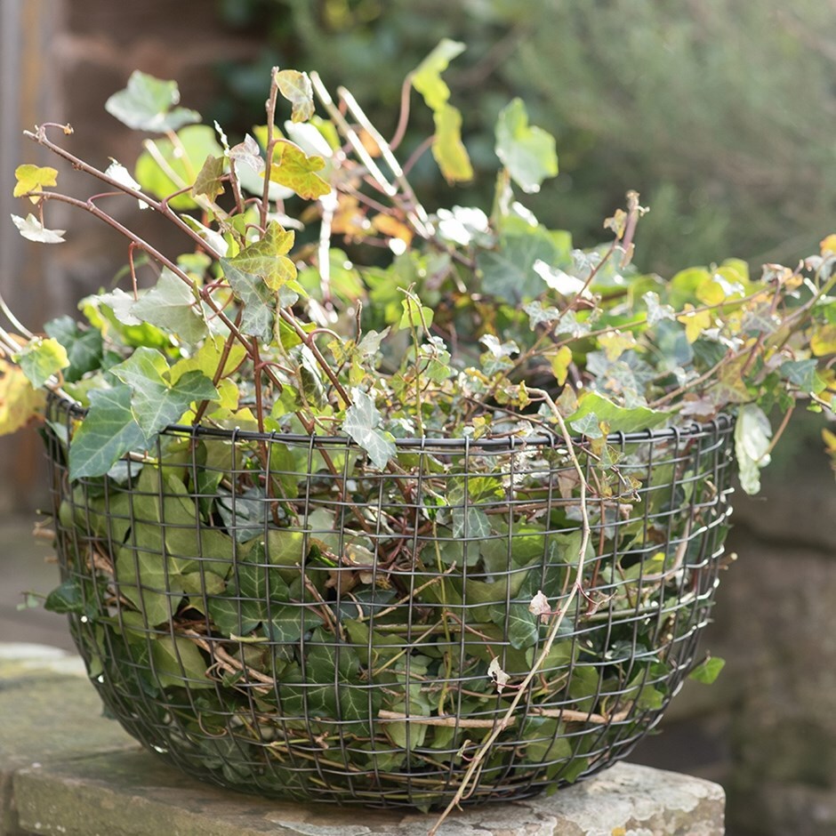 Multi purpose basket