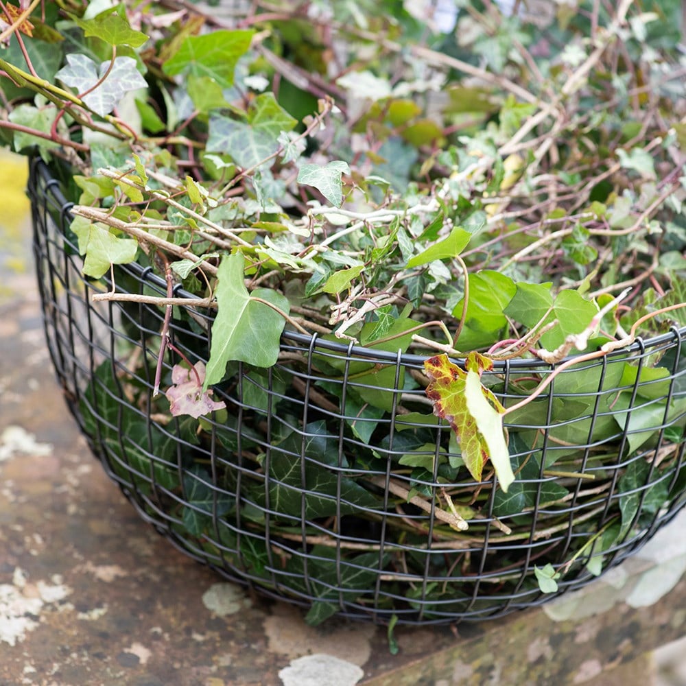 Multi purpose basket