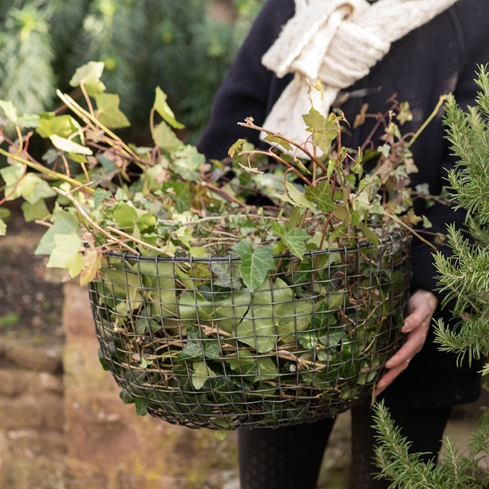 Multi purpose basket