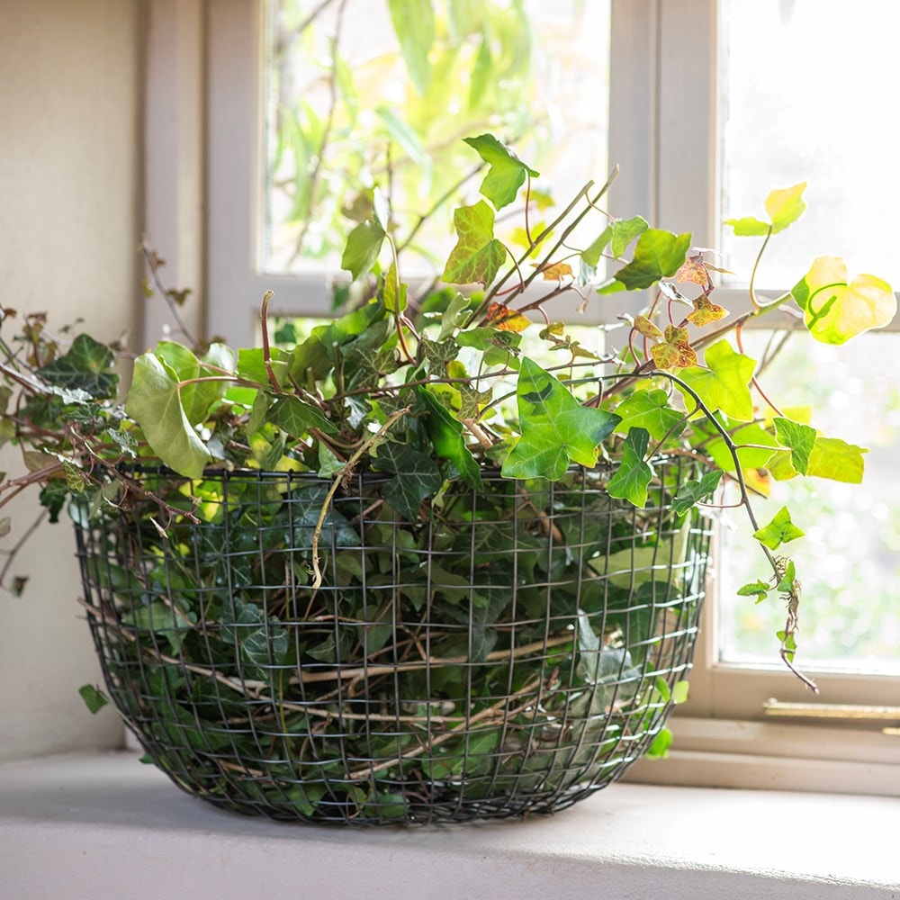 Multi purpose basket